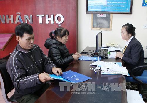Quảng Ngãi Khởi kiện 15 đơn vị, công ty ra tòa vì nợ chây ỳ tiền bảo hiểm